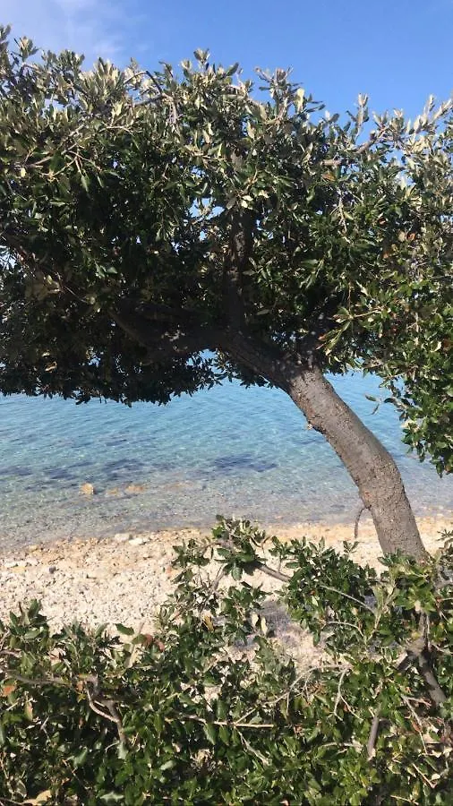 Salt&Sea Summer House Mandre 0*,  Croatia