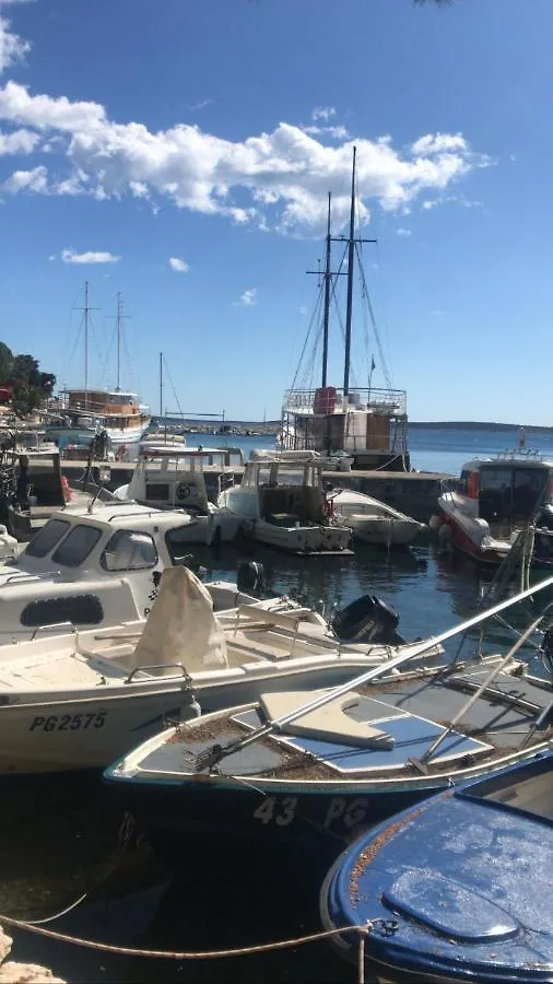 Apartment Salt&Sea Summer House Mandre Croatia